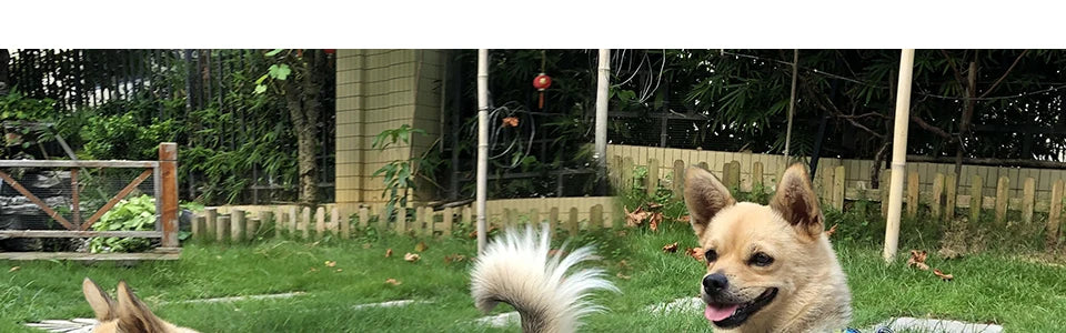 Winter Pet Dog Clothes Super Warm Jacket Thicker Cotton Coat Waterproof Small Dogs Pets Clothing For French Bulldog Puppy