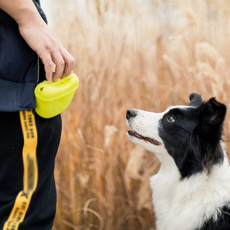Silicone Dog Treat Bag