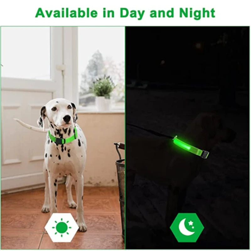 LED Glowing Dog Collar Adjustable Flash Night Anti Lost Collar