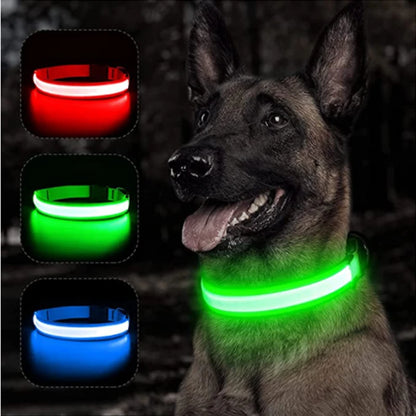 LED Glowing Dog Collar Adjustable Flash Night Anti Lost Collar