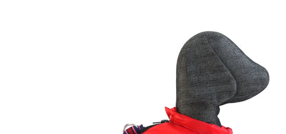 Winter Pet Dog Clothes Super Warm Jacket Thicker Cotton Coat Waterproof Small Dogs Pets Clothing For French Bulldog Puppy