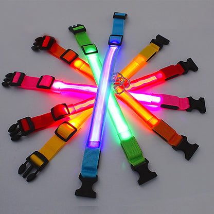 LED Glowing Dog Collar Adjustable Flash Night Anti Lost Collar