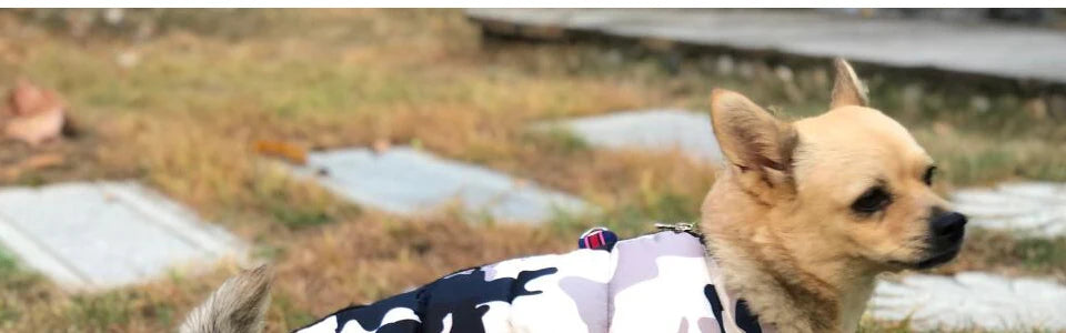 Winter Pet Dog Clothes Super Warm Jacket Thicker Cotton Coat Waterproof