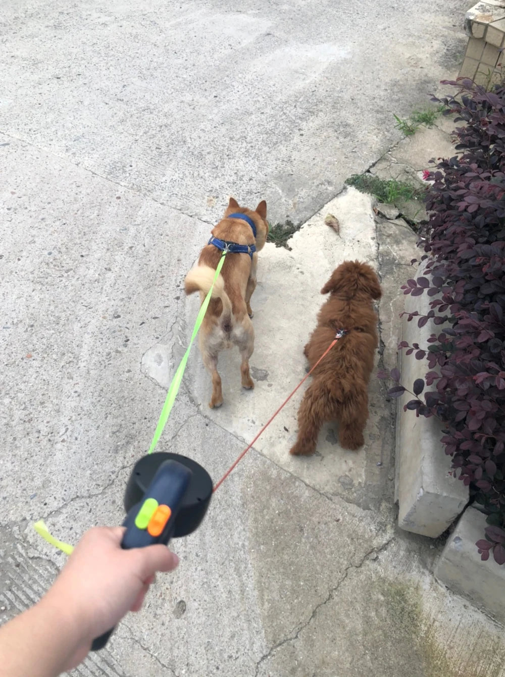 3m Retractable Double Dog Leash with Reflective Straps