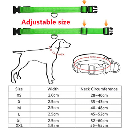 LED Glowing Dog Collar Adjustable Flash Night Anti Lost Collar