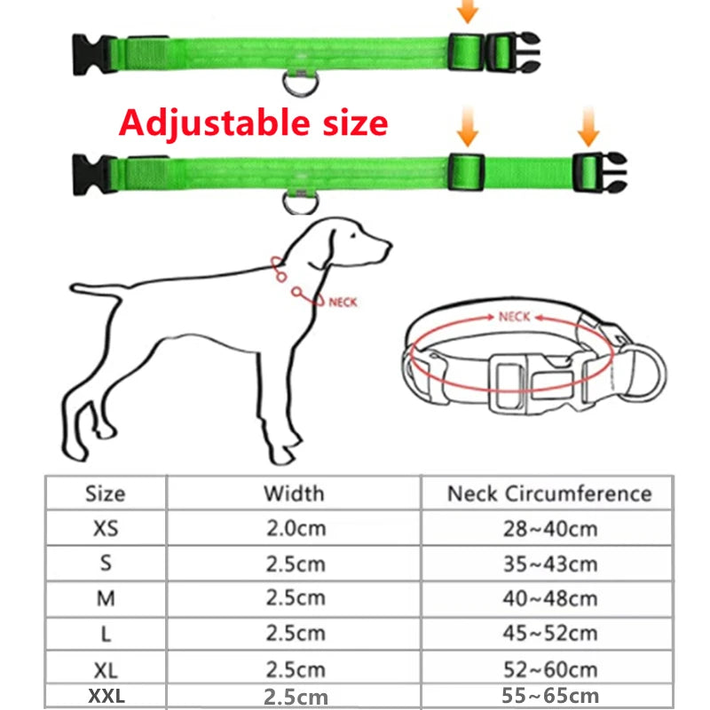 LED Glowing Dog Collar Adjustable Flash Night Anti Lost Collar