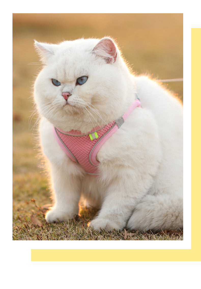 Reflective Mesh Pet Harness Set