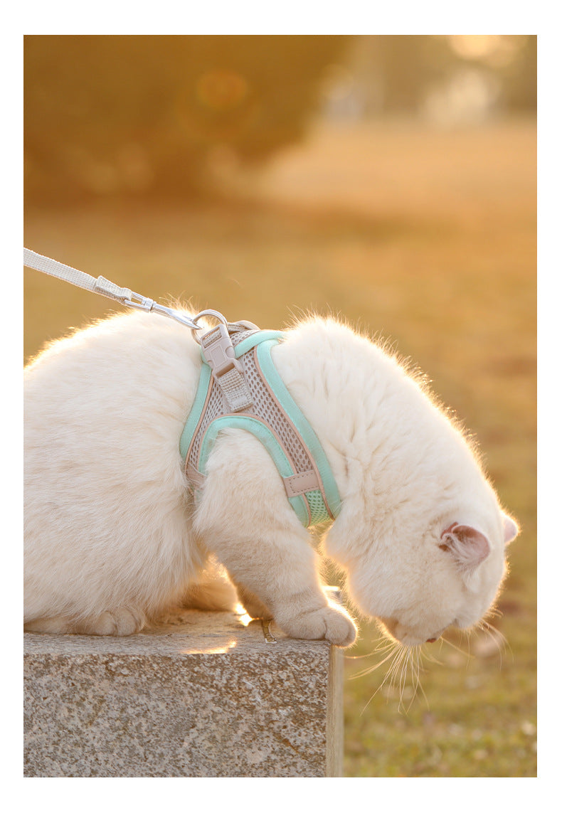 Reflective Mesh Pet Harness Set