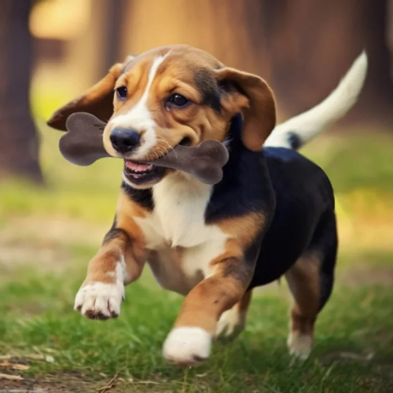 Wooden Dog Chew Toy