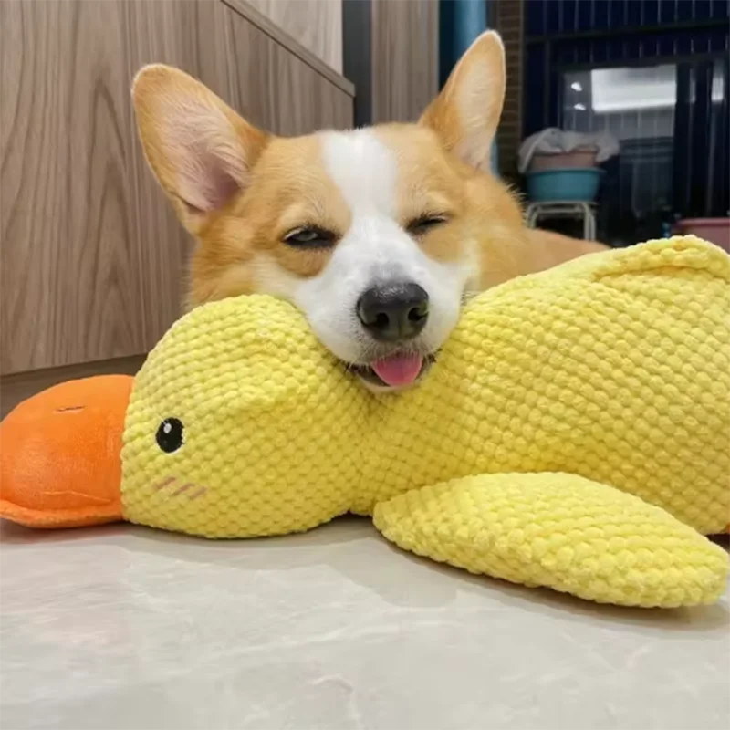 Plush Animal Dog Toy