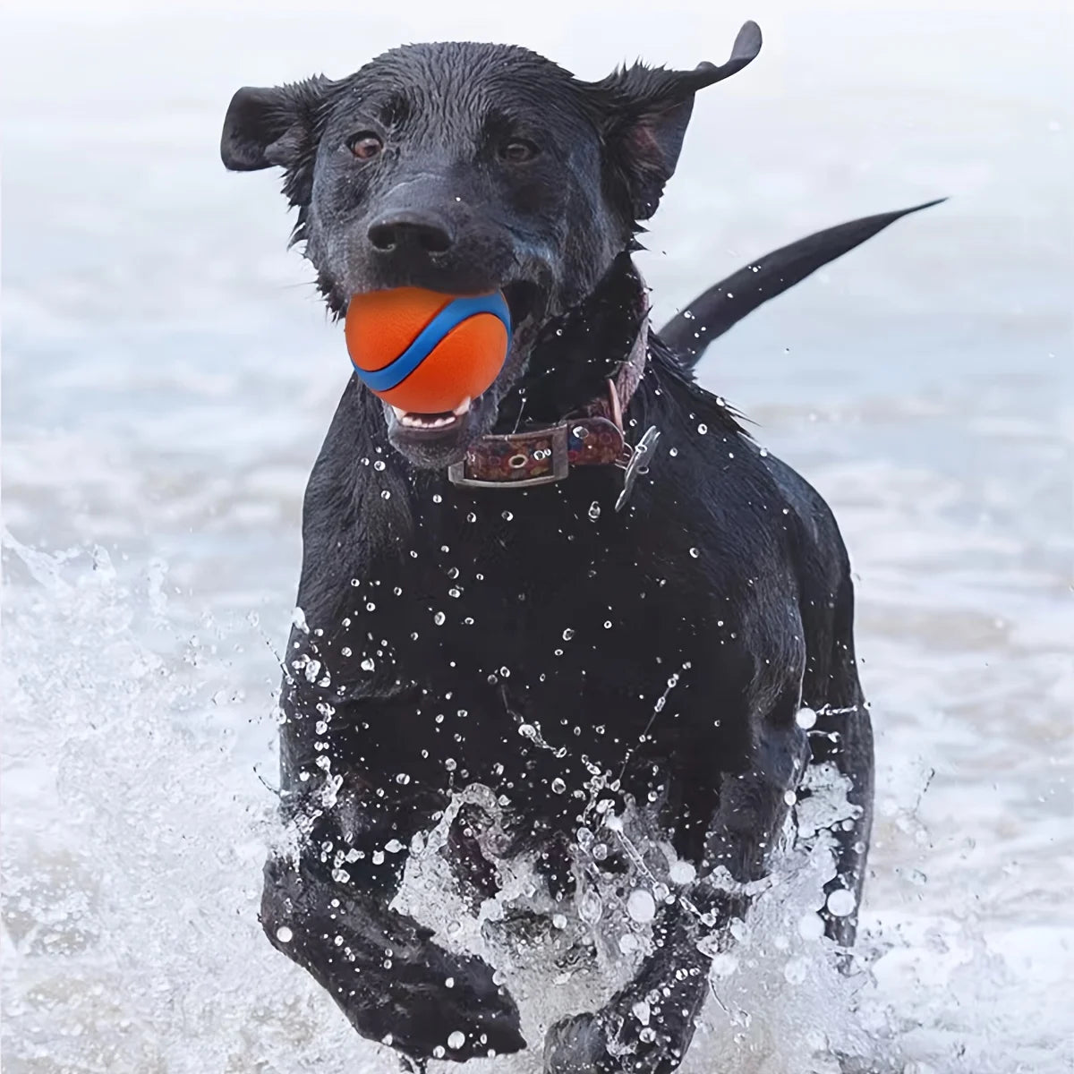 Silicone Dog Ball Toy