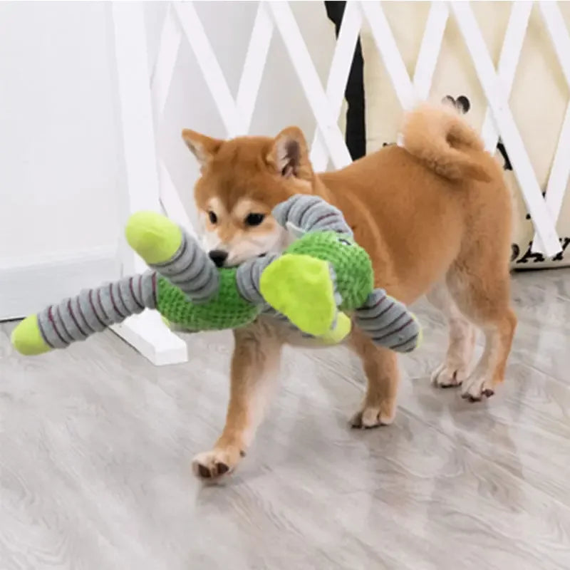 Plush Squeaky Dog Toy