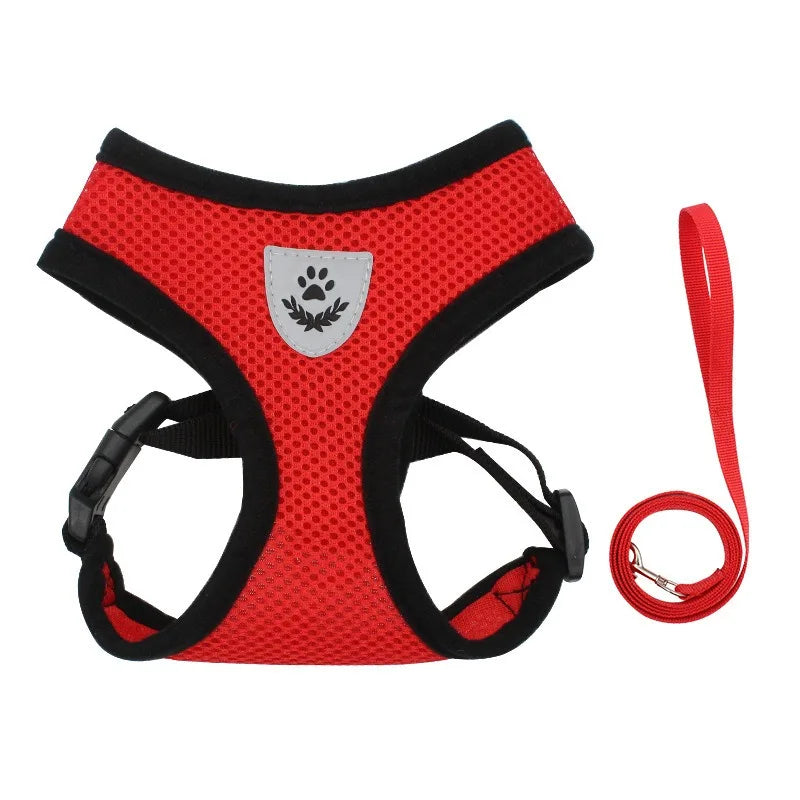 Escape-Proof Reflective Cat Harness & Leash Set