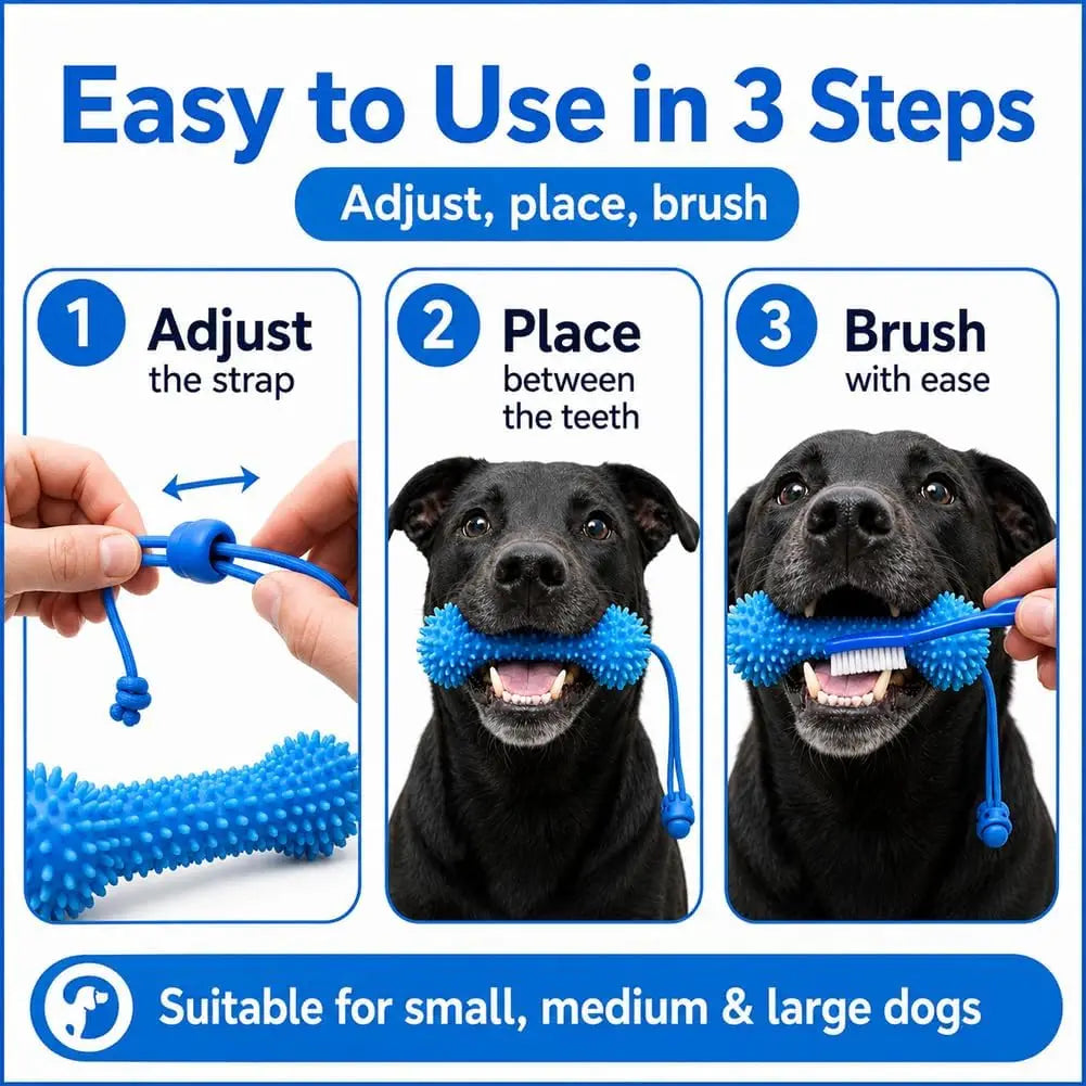 Rubber Dog Chew Toy