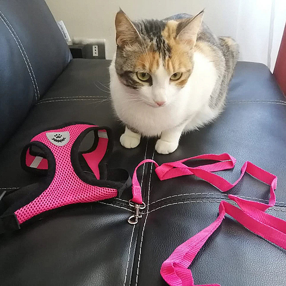 Reflective Soft Pet Harness