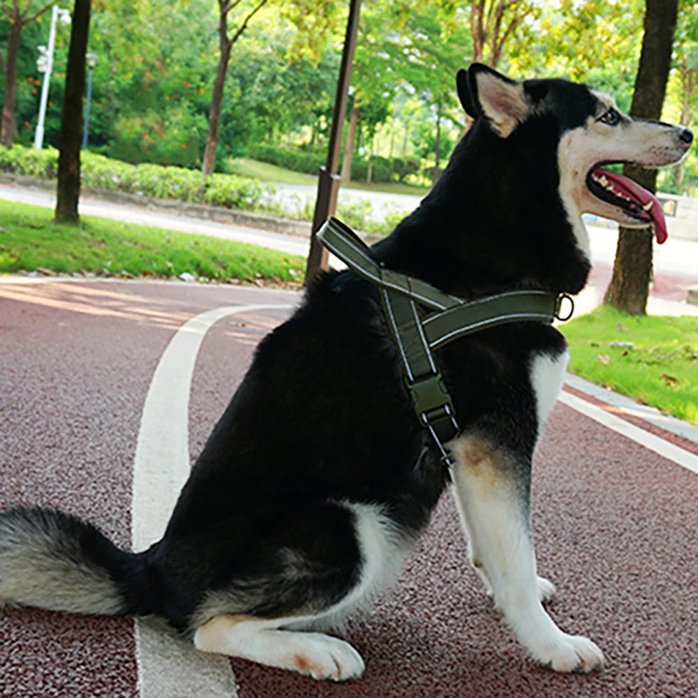 Nylon Dog Vest Harness