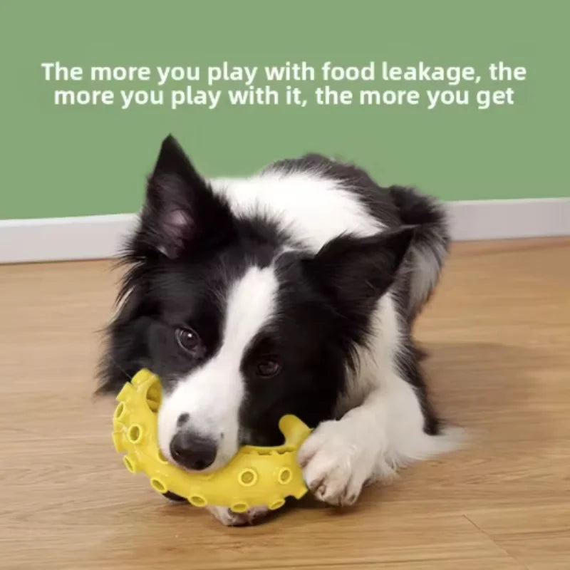 TPR Dog Teething & Treat Toy