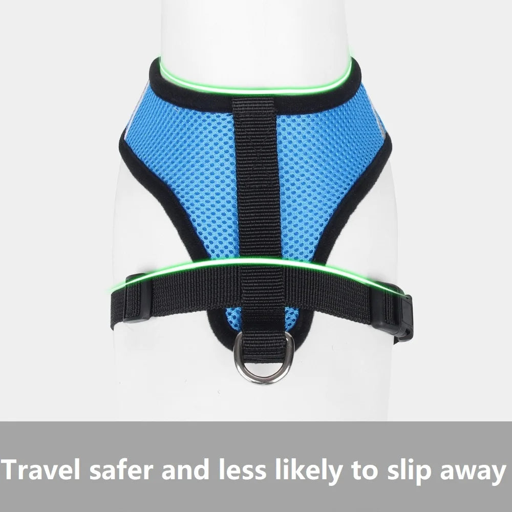 Escape-Proof Reflective Cat Harness & Leash Set