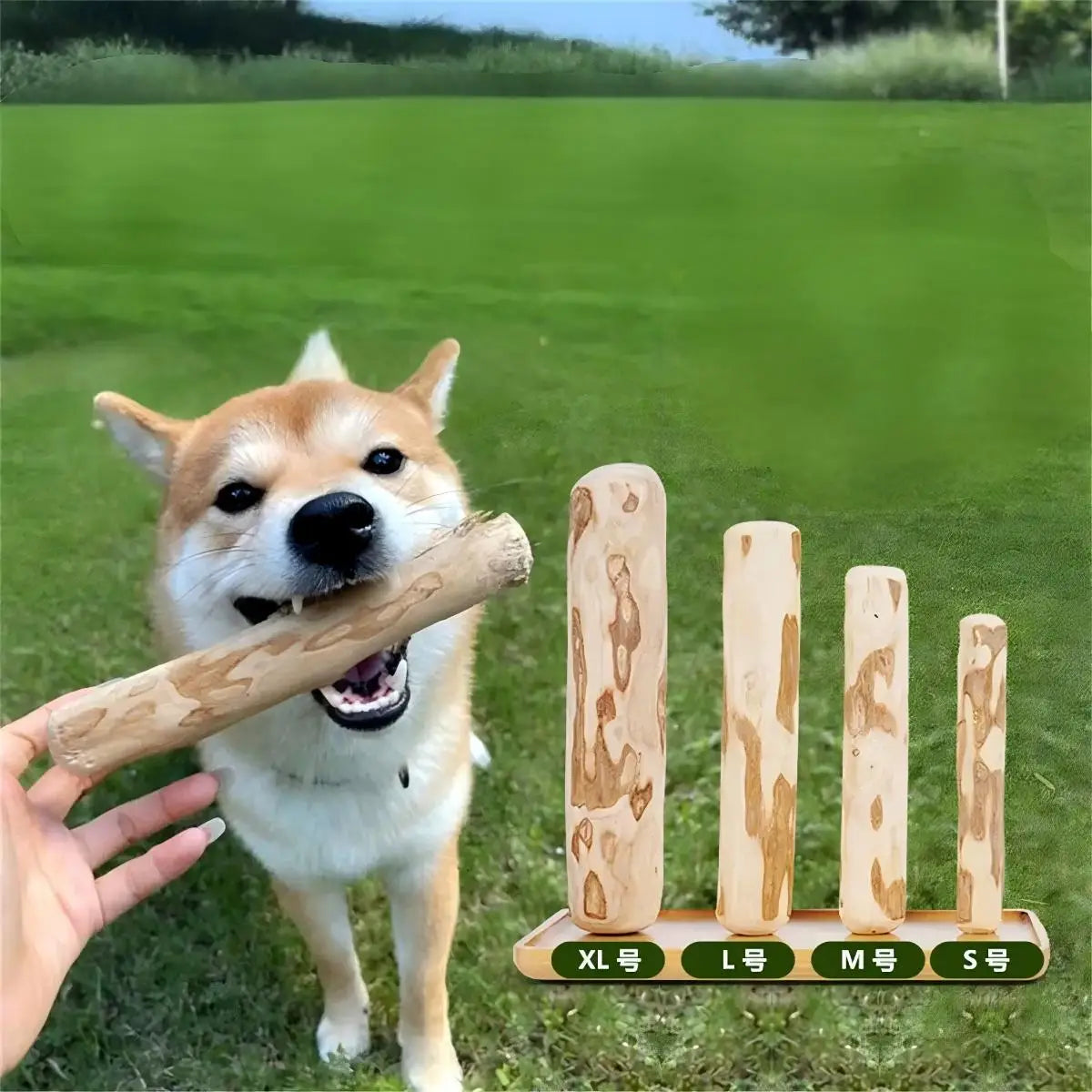 Natural Coffee Wood Cat Chew Toy