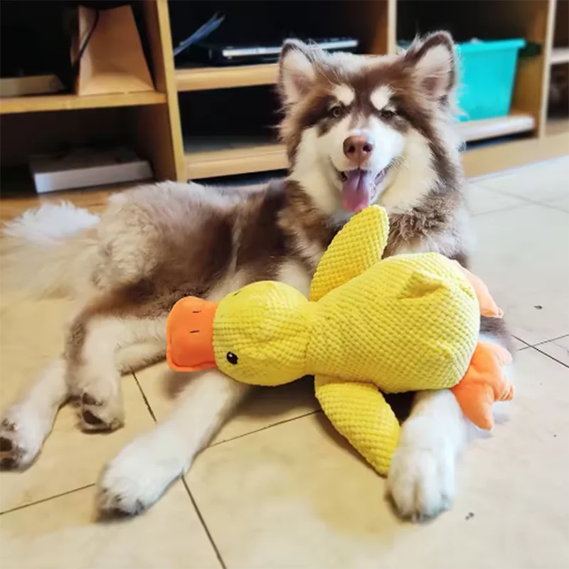 Plush Animal Dog Toy