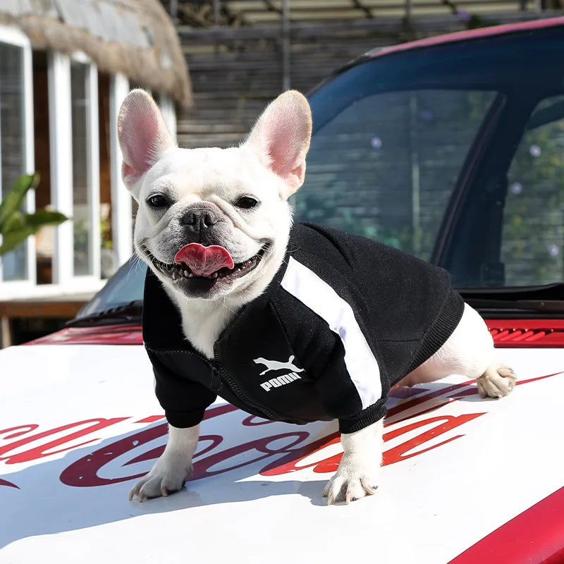 Pet Polyester Dog Jacket