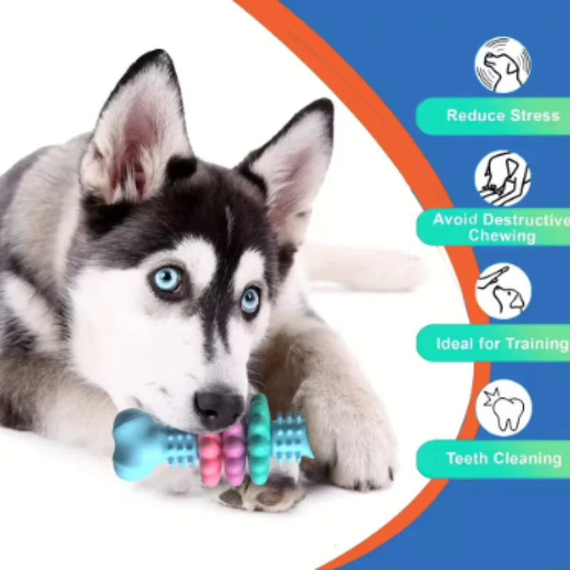 TPR Dog Teething & Treat Toy