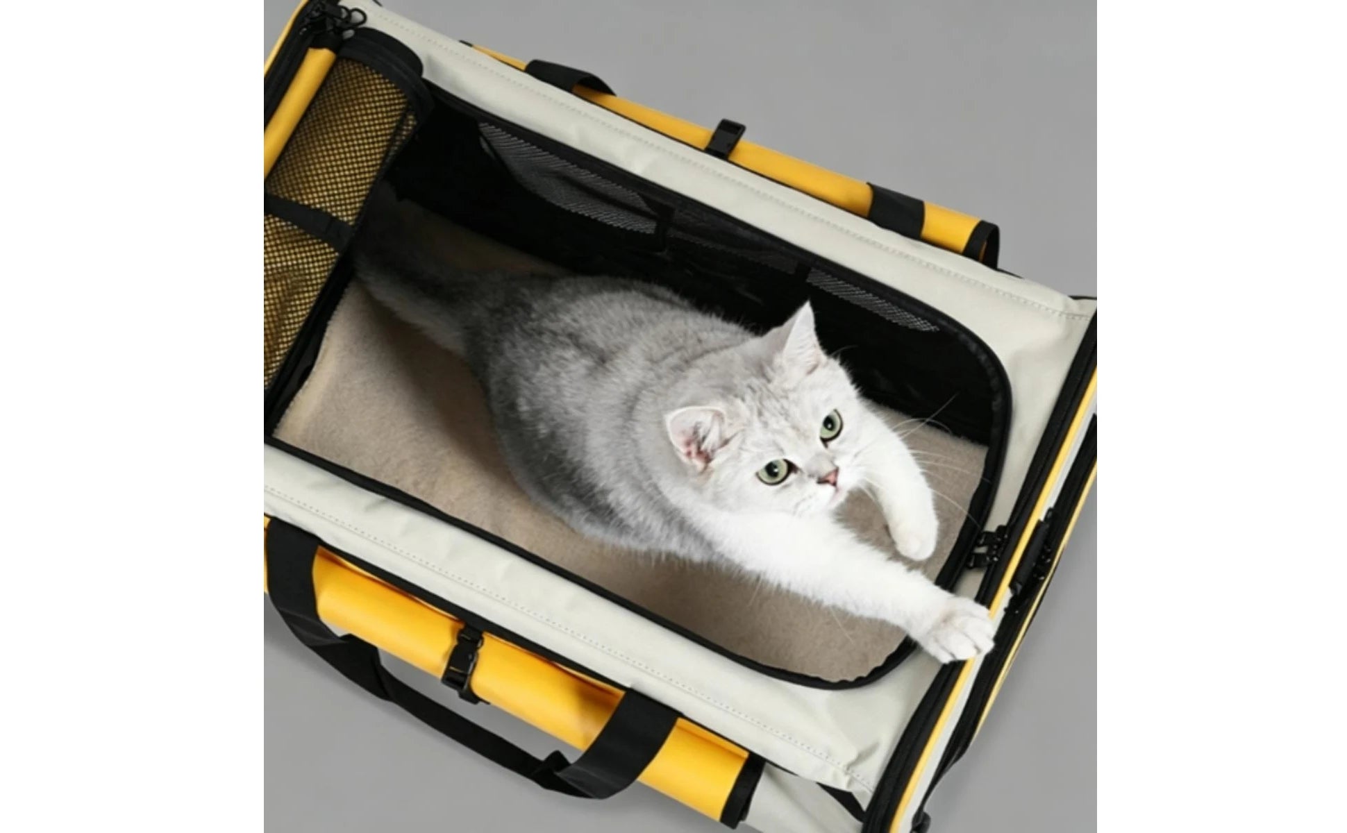 Collapsible Pet Trolley Carrier with Wheels