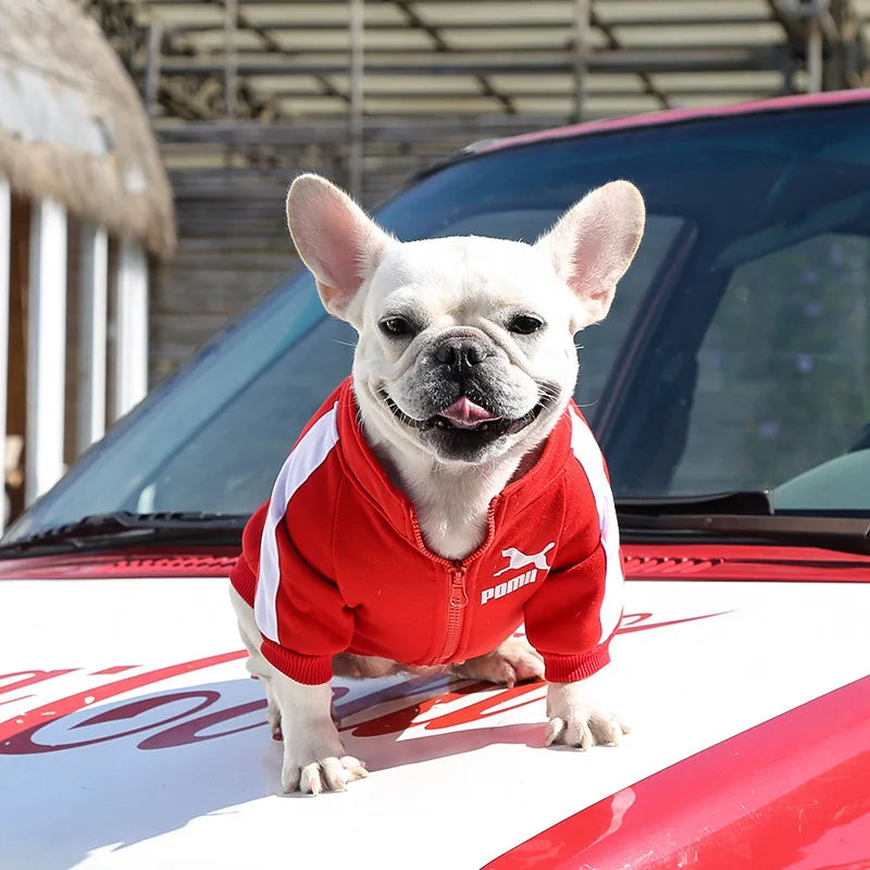 Pet Polyester Dog Jacket