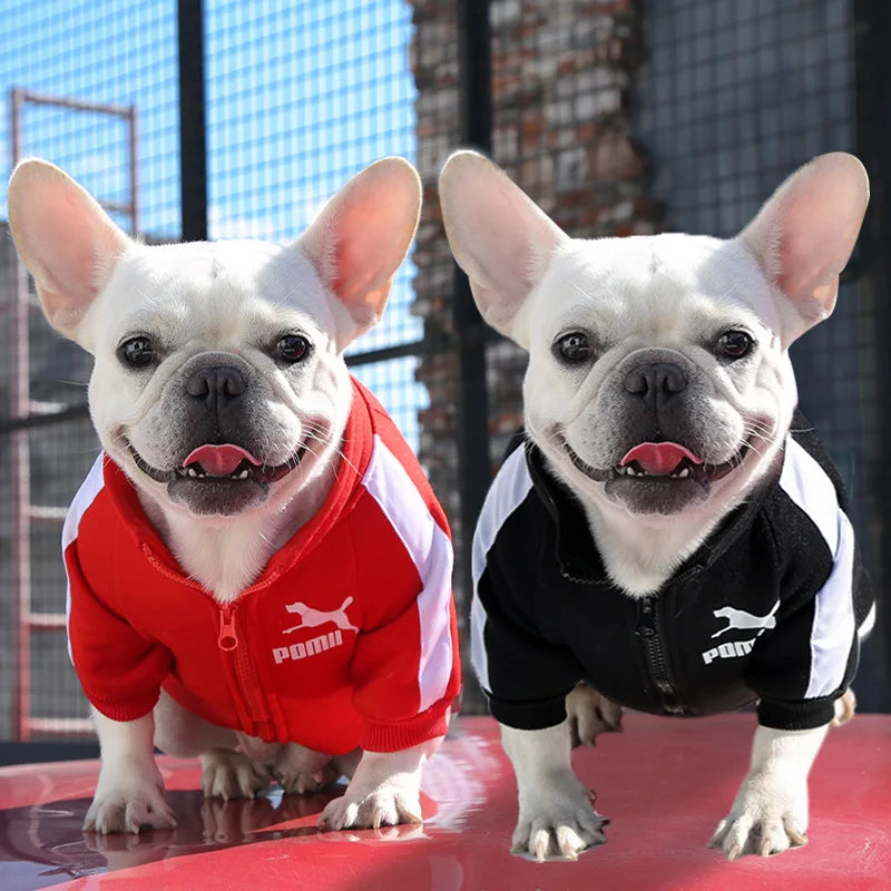 Pet Polyester Dog Jacket