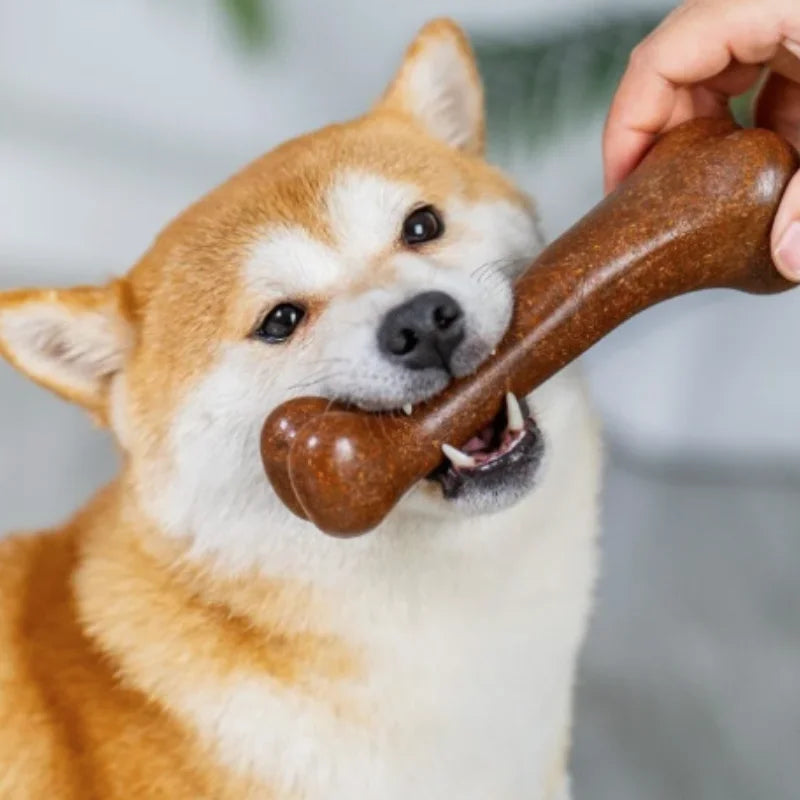 Wooden Dog Chew Toy