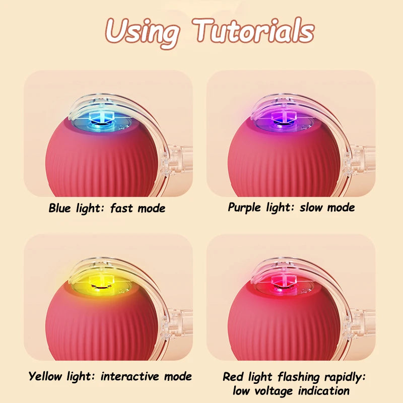 Automatic Interactive Cat Ball Toy | Rechargeable