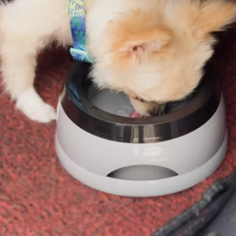 Anti-Splash Dog & Cat Drinking Bowl