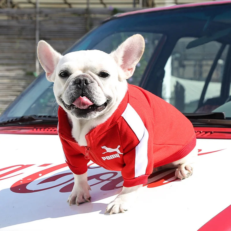 Pet Polyester Dog Jacket