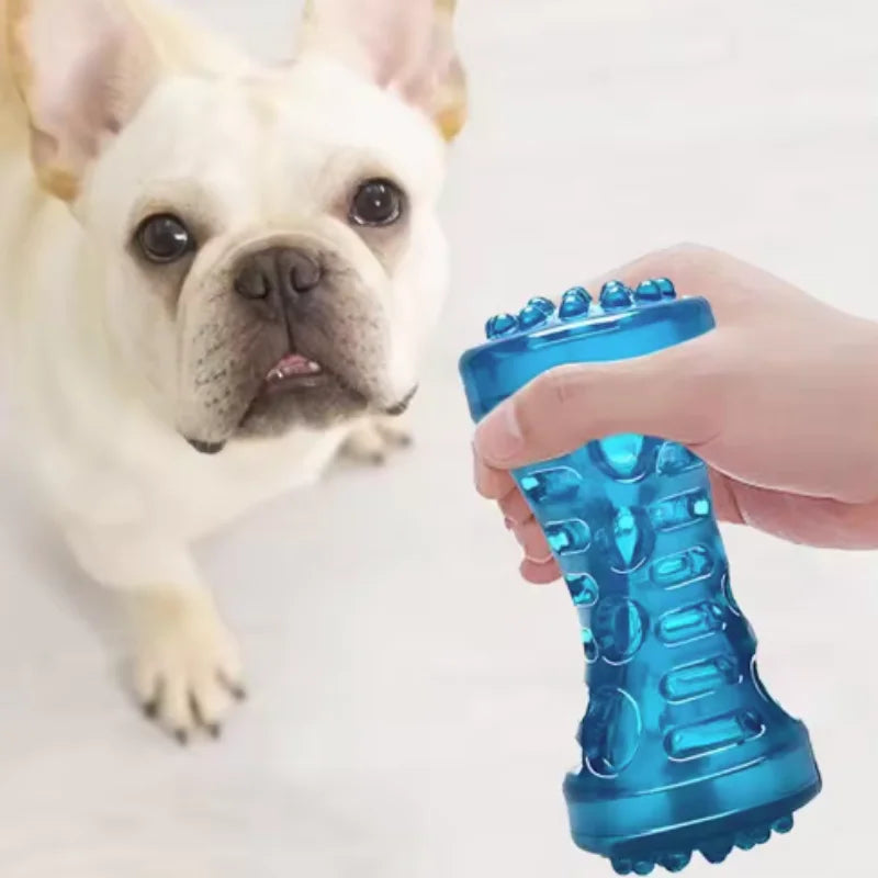 TPR Dog Teething & Treat Toy