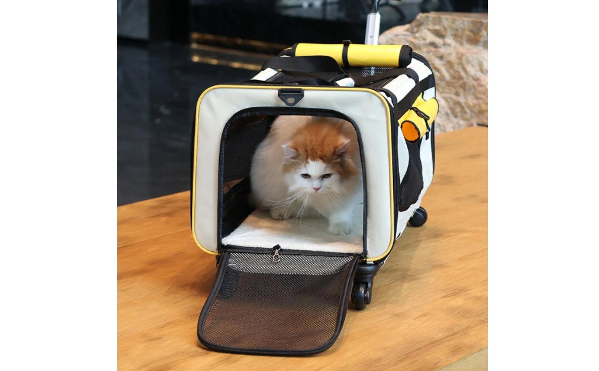 Collapsible Pet Trolley Carrier with Wheels