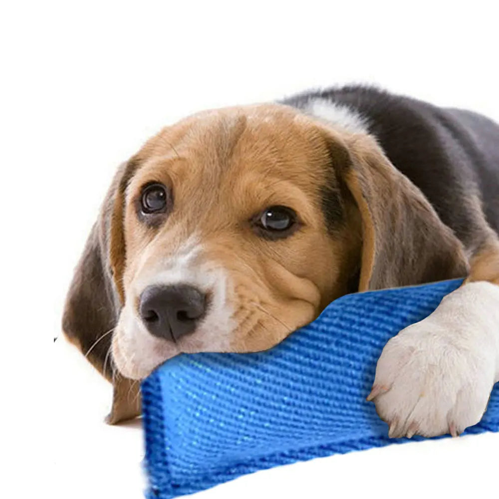 Linen Dog Chew Toy Set