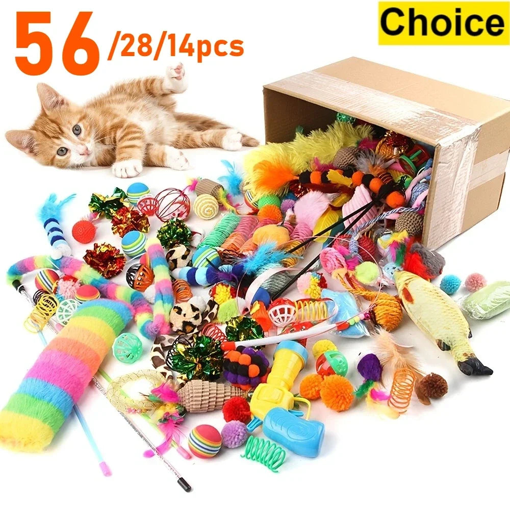 Interactive Spring Cat Toy Set