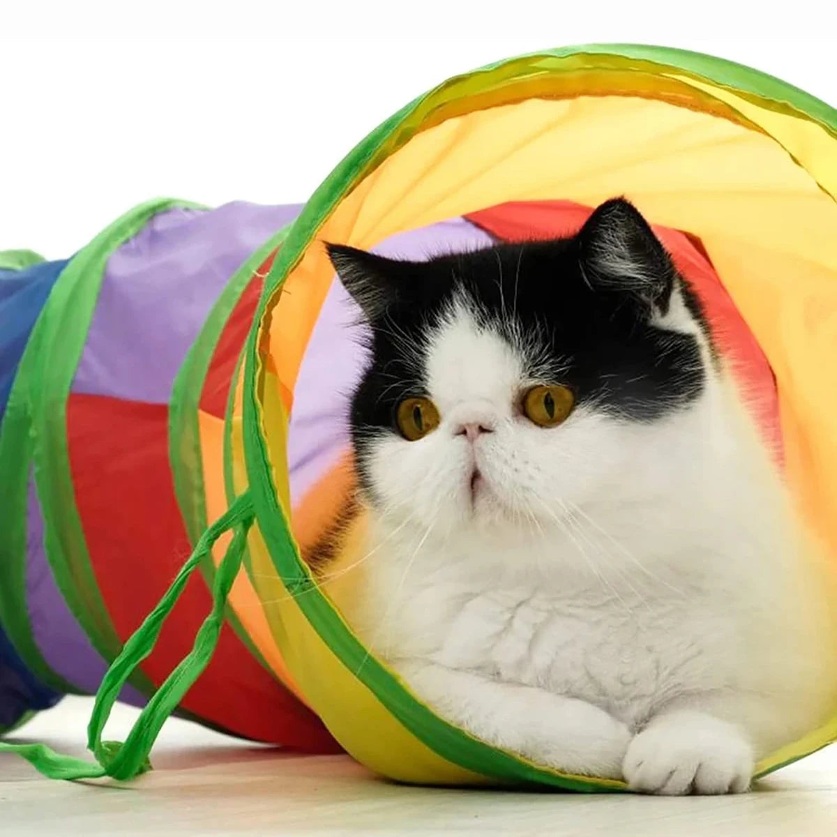 Rainbow Cat Tunnel Toy