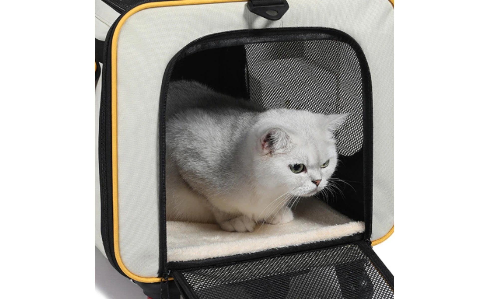 Collapsible Pet Trolley Carrier with Wheels