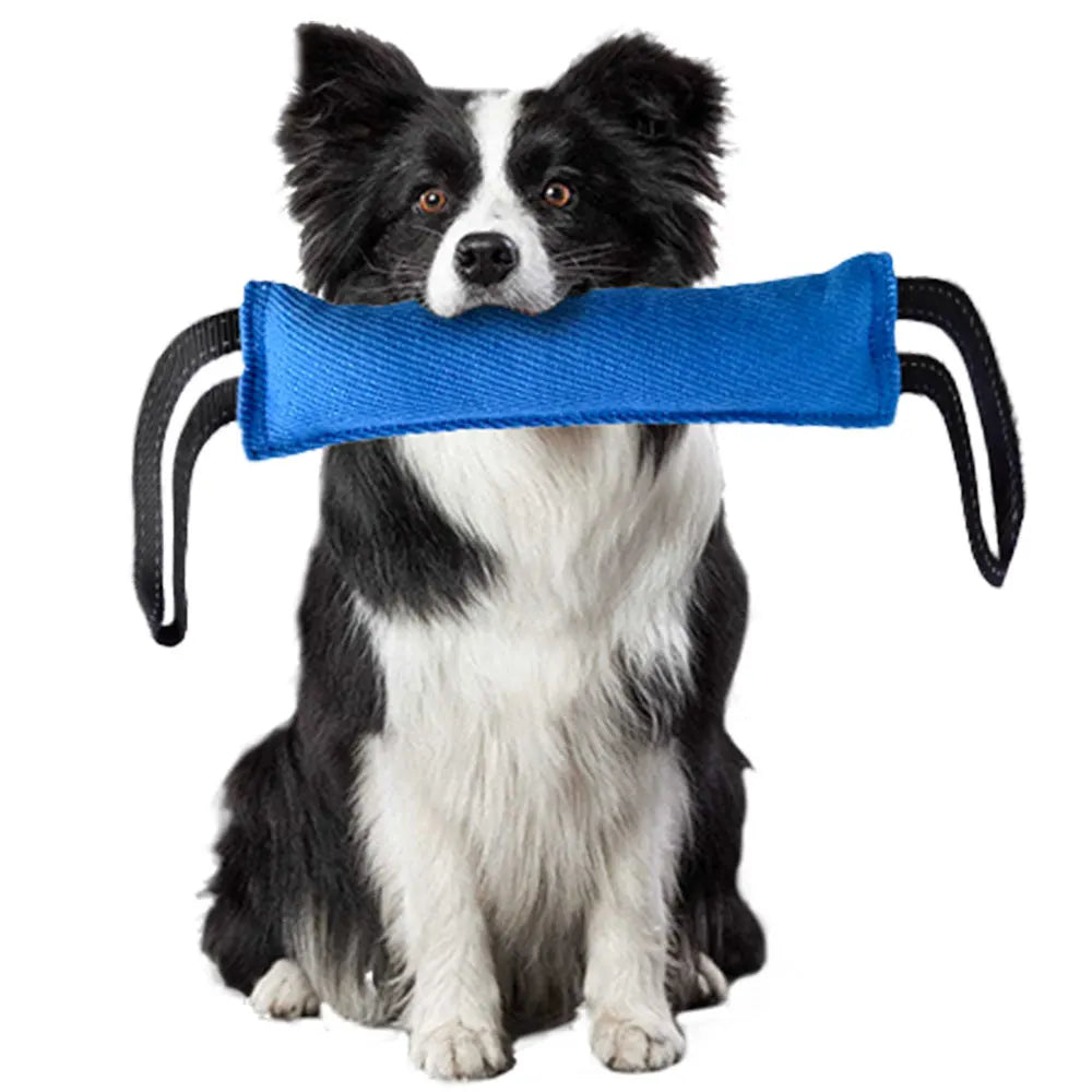 Linen Dog Chew Toy Set