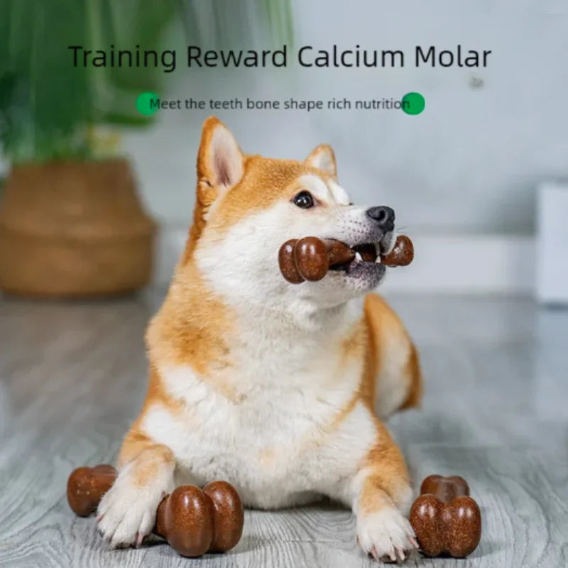 Wooden Dog Chew Toy