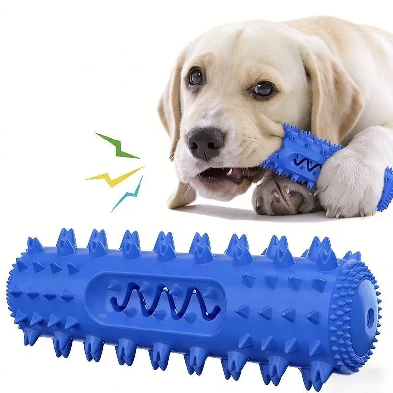 TPR Dog Teething & Treat Toy
