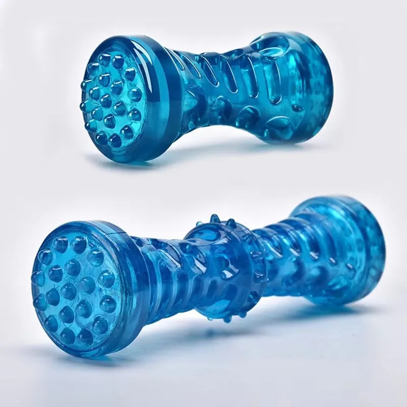 Interactive Dog Teething Toy, Squeaky Chew Toy