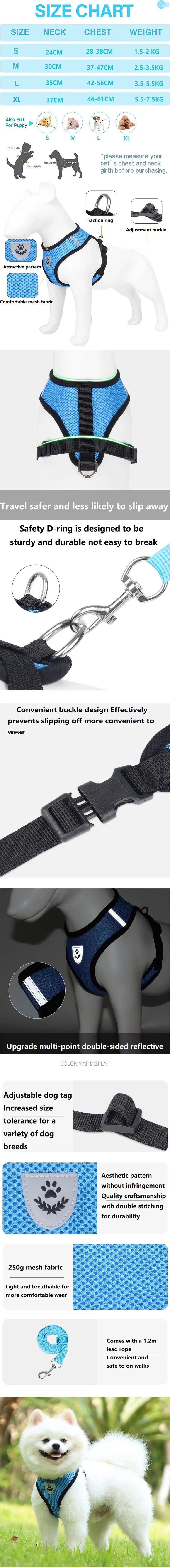 Escape-Proof Reflective Cat Harness & Leash Set