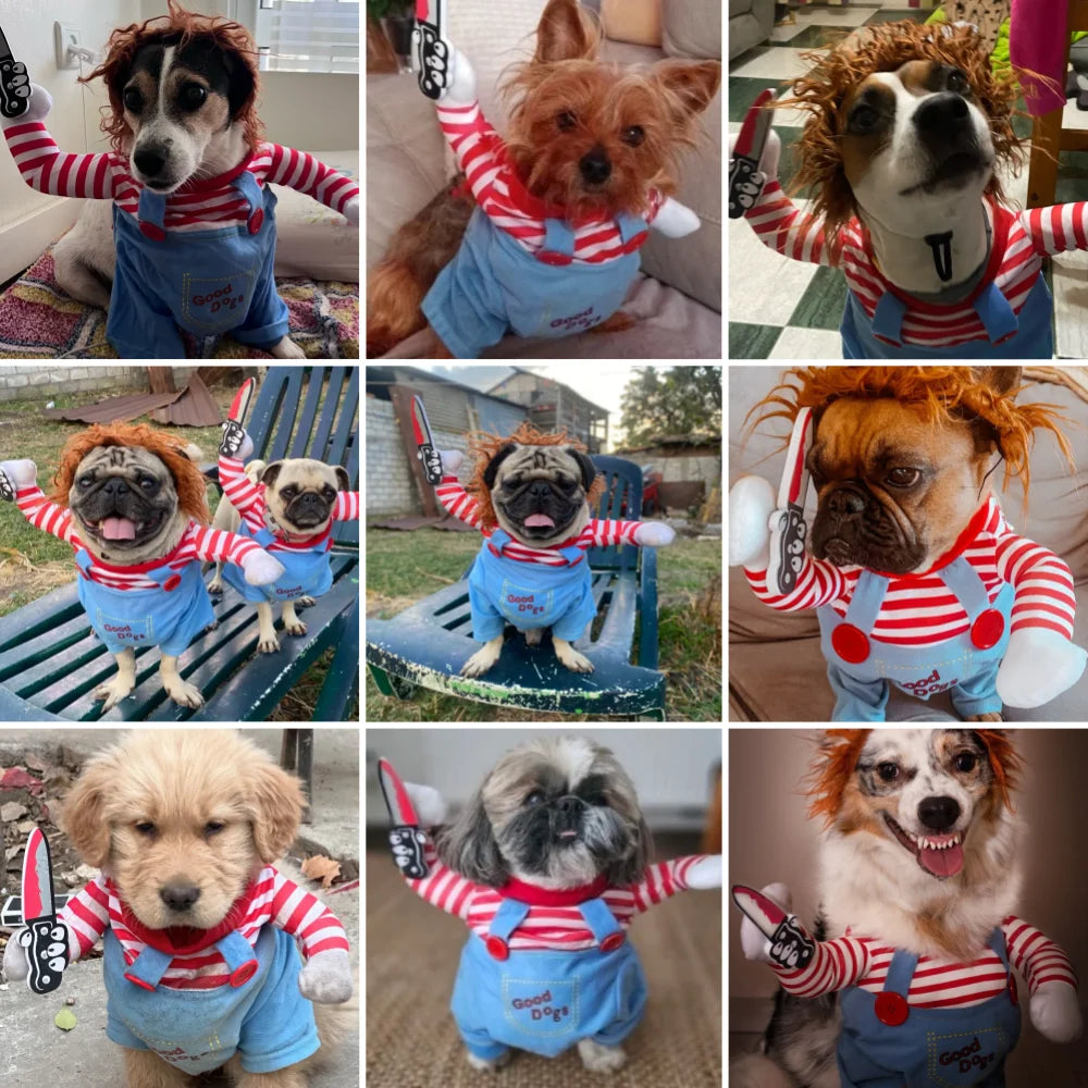 Funny Cotton Dog Costume