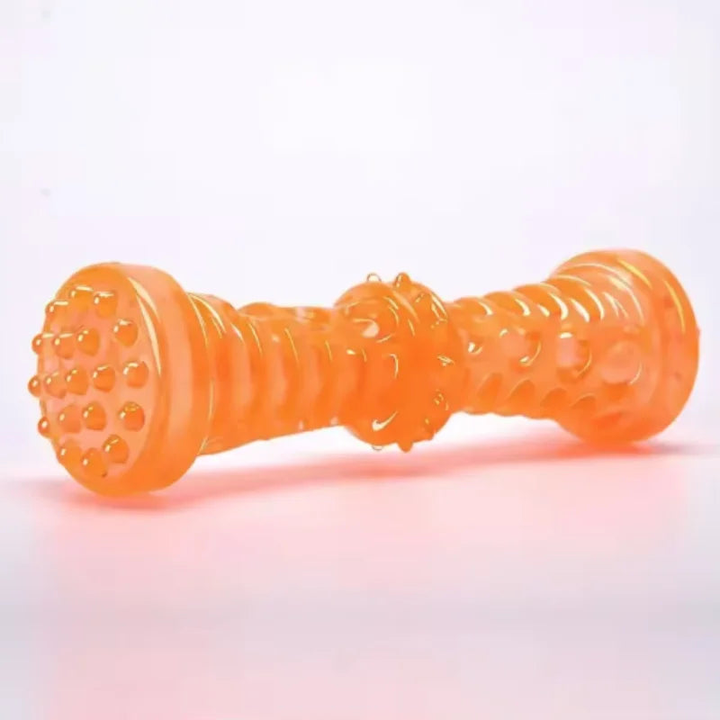 TPR Dog Teething & Treat Toy