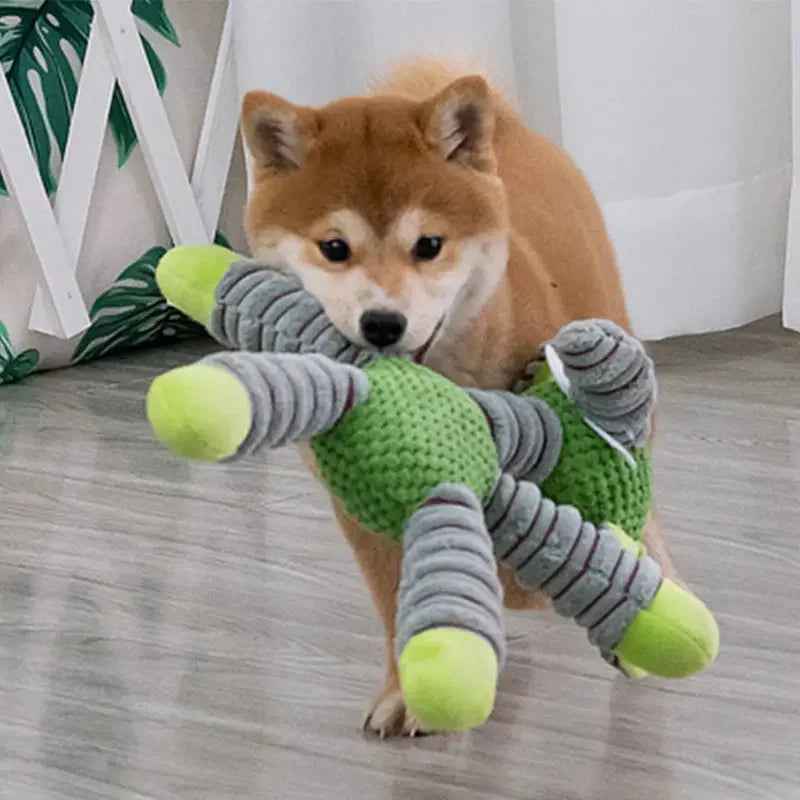 Plush Squeaky Dog Toy