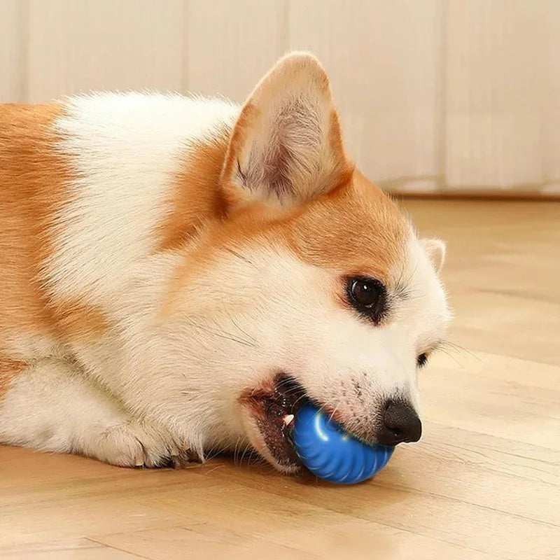 Interactive Automatic Dog Jump Ball