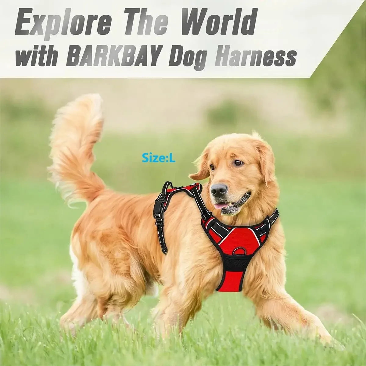 Comfort Fit Dog Vest Harness