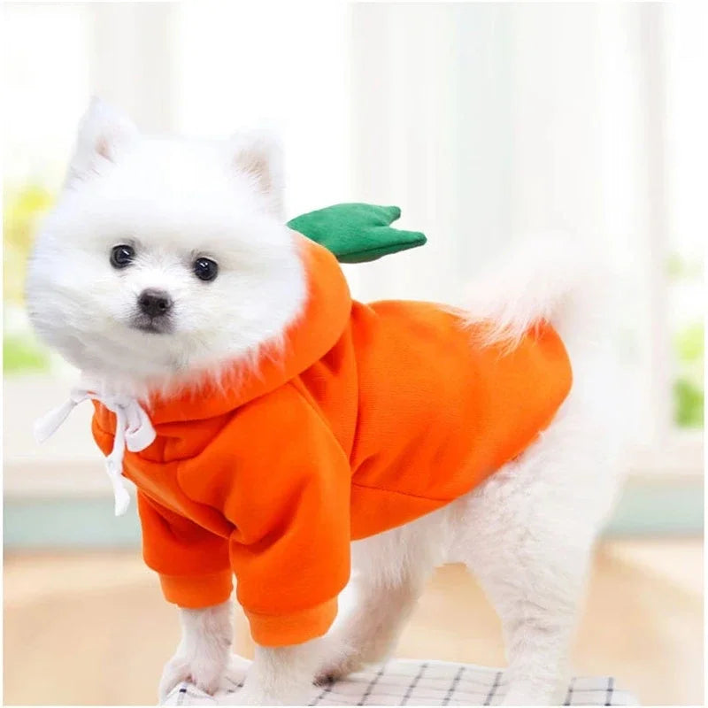 Polyester Dog Hoodie Sweater